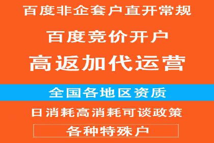 提升网站流量与转化率的关键——关键词竞价排名案例